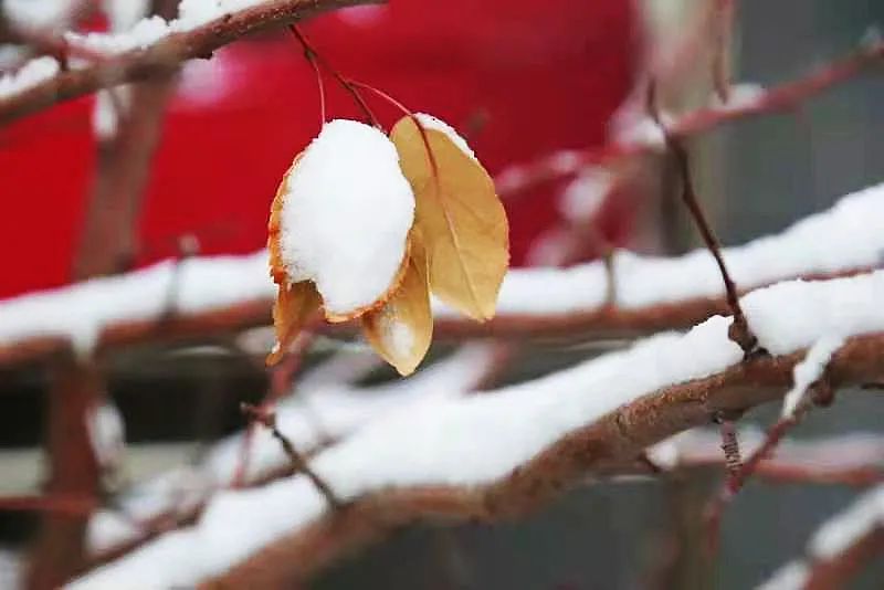 圖片 圖片